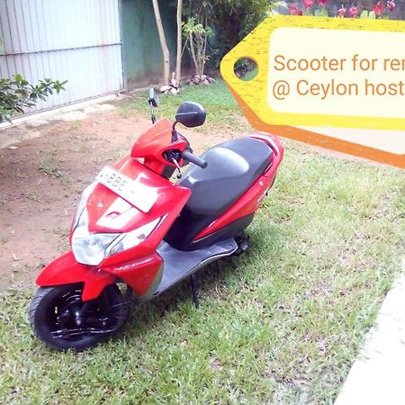 Ceylon Hostel-Galle Unawatuna Eksteriør billede